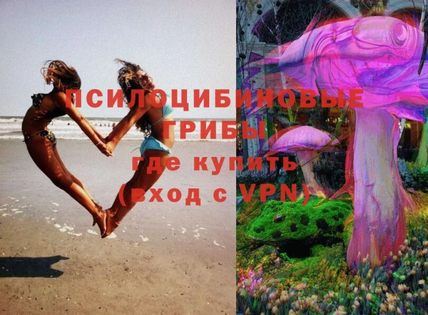 МДПВ Пересвет