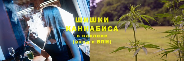 МДПВ Пересвет