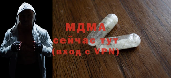 МДПВ Пересвет
