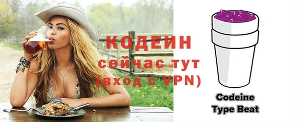 МДПВ Пересвет