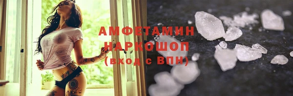 МДПВ Пересвет