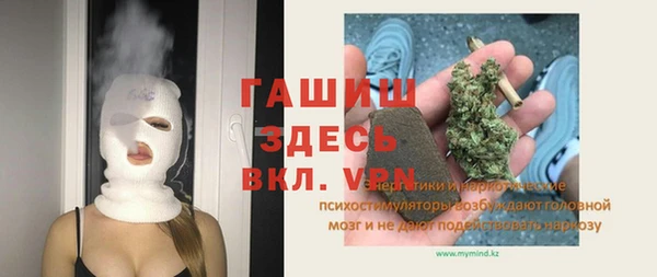 МДПВ Пересвет