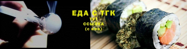 МДПВ Пересвет