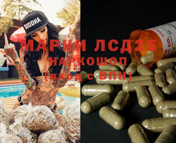 МДПВ Пересвет