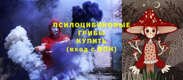 ПСИЛОЦИБИНОВЫЕ ГРИБЫ Пестово