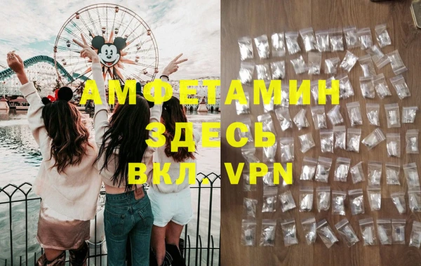 МДПВ Пересвет