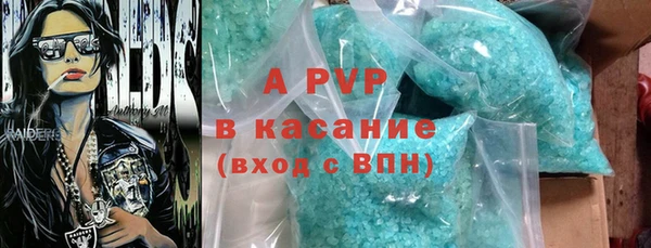 МДПВ Пересвет