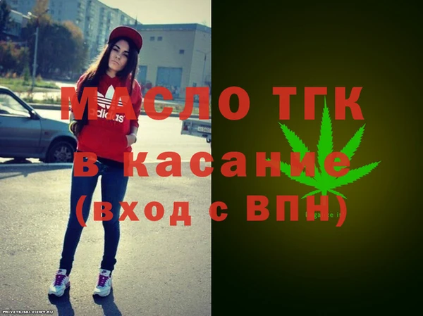 МДПВ Пересвет