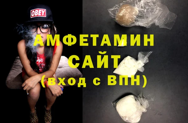 МДПВ Пересвет