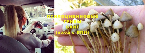 гидропоника Переславль-Залесский