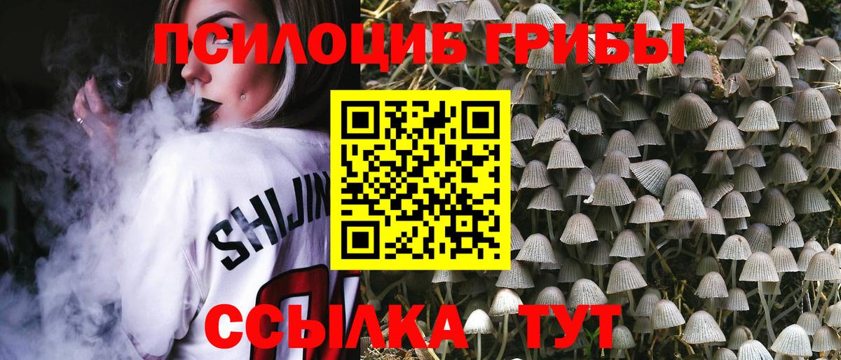 Псилоцибиновые грибы мухоморы Саки