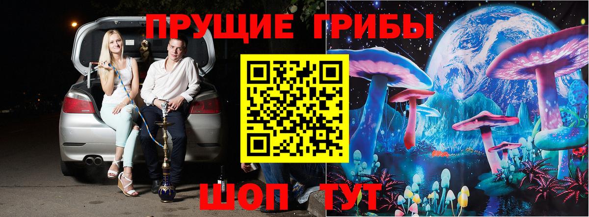 Саки  Псилоцибиновые грибы Psilocybe  Вход с VPN  Псилоцибиновые грибы Cubensis 
