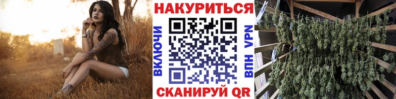 Бошки марихуана индика гидра Саки
